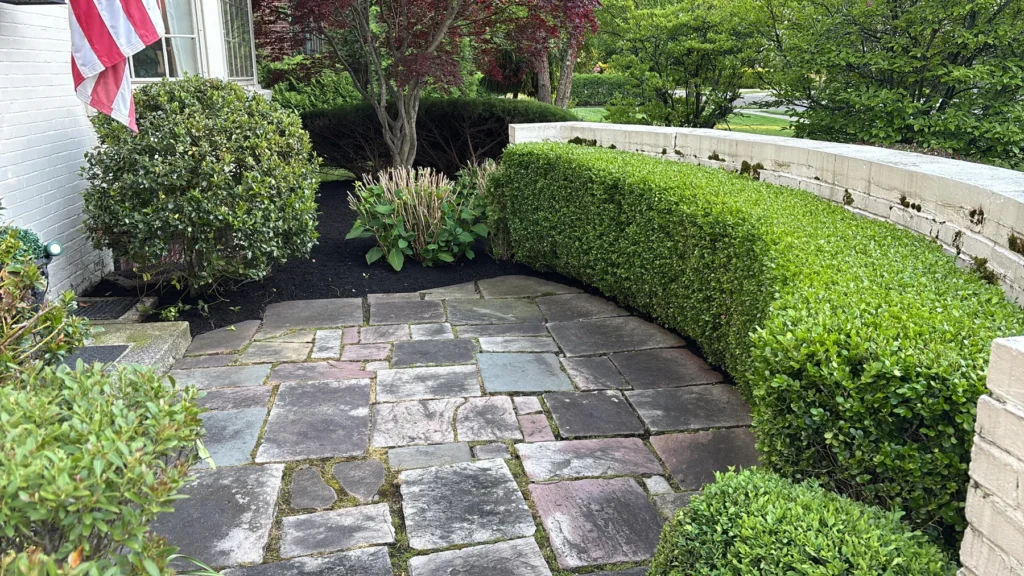 Flagstone walkway lined with a boxwood hedge and mulch bed