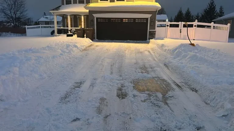 Plowed residential driveway at night after a Buffalo snowfall