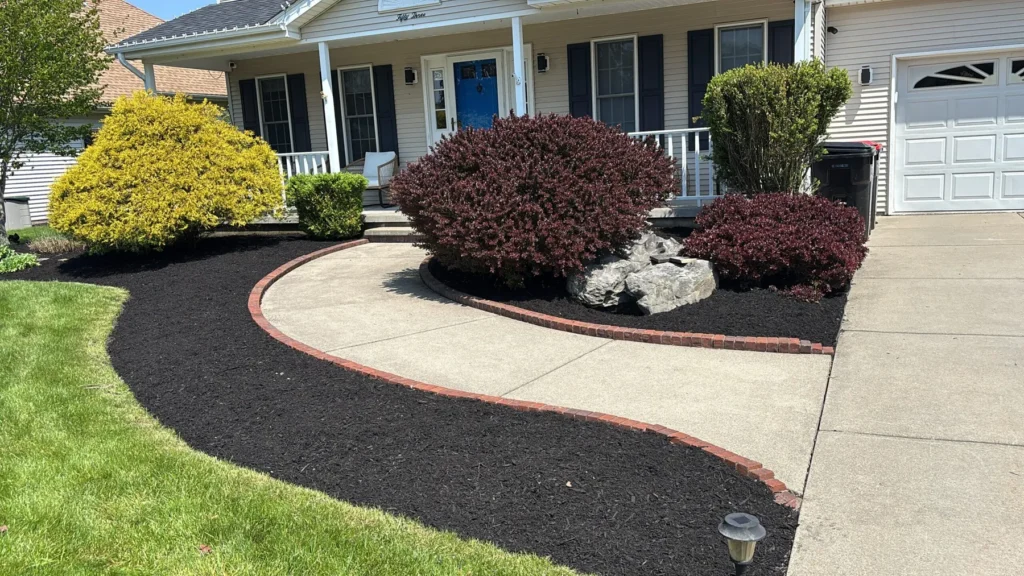 Front yard bed with red barberry, boulders and fresh mulch in Buffalo NY