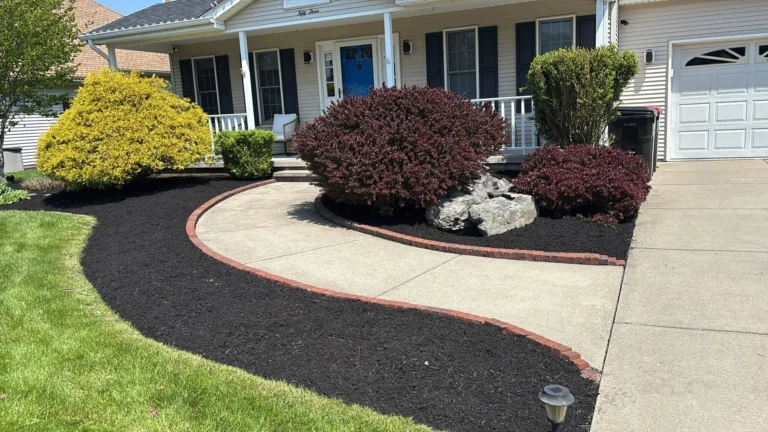 Front yard bed with red barberry, boulders and fresh mulch in Buffalo NY