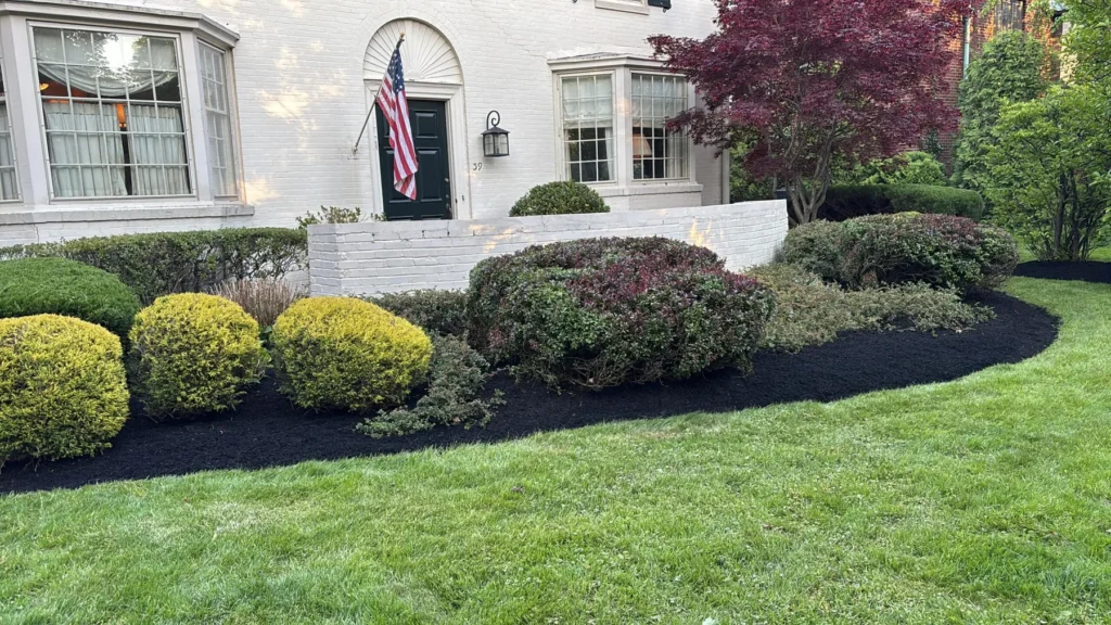 Rounded trimmed shrubs and mulch beds in front of a white house